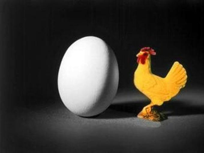 पहले अंडा आया या मुर्गी