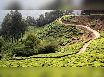 മൂന്നാർ ചിത്തിരപുരത്ത് കയ്യേറ്റം പൊളിച്ചുനീക്കുന്നു