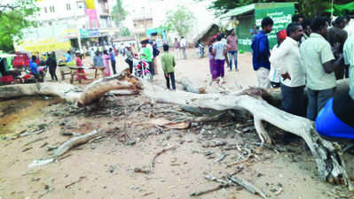 ಮರ ಬಿದ್ದು ಬೈಕ್‌ ಸವಾರ ಸಾವು