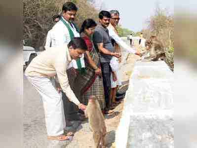 ಬೆಟ್ಟದ ಪ್ರಾಣಿ-ಪಕ್ಷಿಗಳ ಬಾಯಾರಿಕೆ ನೀಗಿಸಿದ ವೇದಿಕೆ