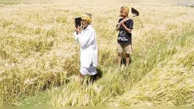 ರೈತರ ಆತ್ಮಹತ್ಯೆ ತಪ್ಪಿಸಲು ಹೆಚ್ಚು ಕೆಲಸ ನೀಡಿ: ವರದರಾಜನ್‌