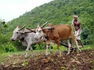 ರೈತರ ಸಾಲ ಮನ್ನಾ: ಸಿದ್ದರಾಮಯ್ಯ ಸರಕಾರಕ್ಕೆ ಹೊಸ ಇಕ್ಕಟ್ಟು