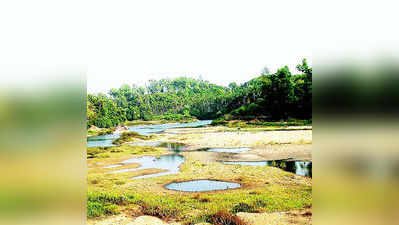 ಬತ್ತುತ್ತಿರುವ ಜೀವನದಿ ತುಂಗೆಗೆ ತ್ಯಾಜ್ಯದ ಹೊರೆ