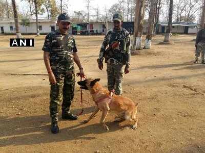 வெடிகுண்டு விபத்தில் வீர மரணமடைந்த மோப்ப நாய்