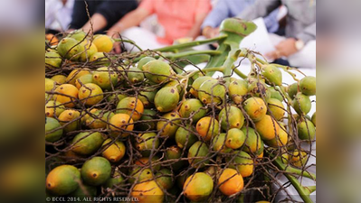 ಅರ್ಧ ಲಕ್ಷ ರೂ. ತಲುಪಿದ ಕೆಂಪಡಕೆ ದರ