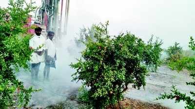 ಆಳದಲ್ಲೂ ದುಬಾರಿಯಾದ ‘ಅಂತರ್ಜಲ’