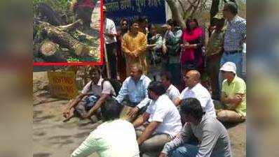 Punes Chipko moment: Residents guard trees as municipal corporation goes on chopping spree 