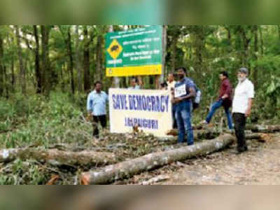 লাটাগুড়ির বৃক্ষ নিধনে বহাল স্থগিতাদেশ