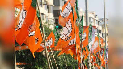 No beef politics in Goa: BJP 