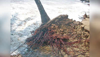 ಕಡಲ್ಕೊರೆತದ ನಡುಕ