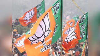 BJP wins Delhis Rajouri Garden bypoll, AAP candidate loses deposit 