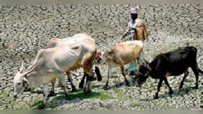 পাক ‘লু’ রুখে বঙ্গের ত্রাতা ঘূর্ণিঝড়