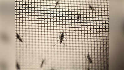 मौसम बदलने से डेंगू, चिकनगुनिया और मलेरिया जैसी बीमारियों का खतरा बढ़ा