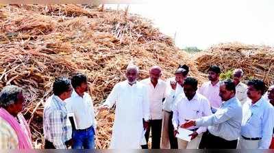 ಮೇವು ಬ್ಯಾಂಕ್‌ ಭಣಭಣ