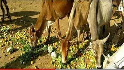 ಆನ್‌ಲೈನ್‌ನಲ್ಲಿ ಗೋವುಗಳ ಮಾರಾಟ