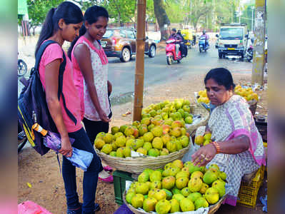 ಹೂ ಉದುರುವ ಕಾಯಿಲೆ ಮಾವು ಇಳುವರಿ ಕುಂಟಿತ