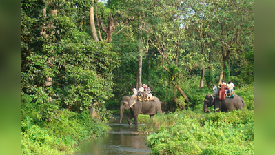 পর্যটনে জোর , গোরুমারায় ঘাটতি বন্যপ্রাণী সংরক্ষণে