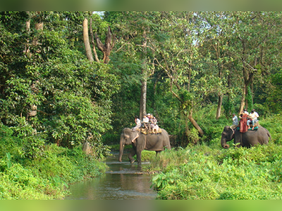 পর্যটনে জোর , গোরুমারায় ঘাটতি বন্যপ্রাণী সংরক্ষণে