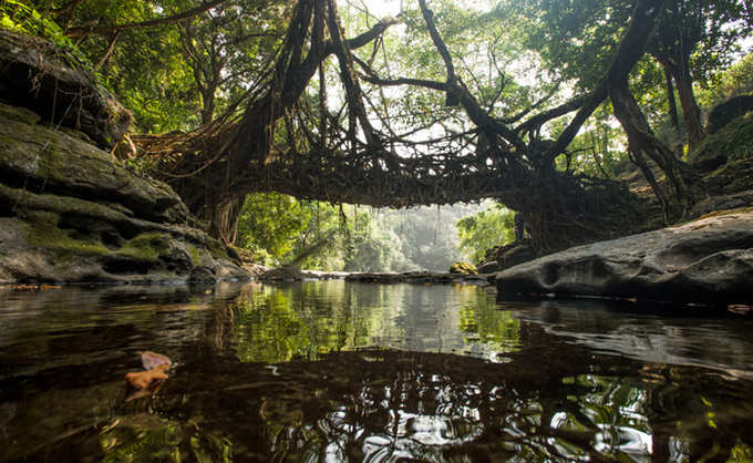 நம்ம ஊரை விட வட கிழக்கு மாநிலங்களுக்கு எத்தனை பெருமைகள் பாருங்கள்..!