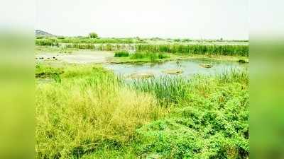 ಕೆರೆ ಭರ್ತಿ ಮರೆತ ಅಧಿಕಾರಿಗಳು