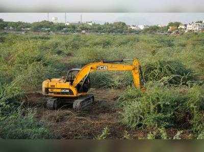 சீமைக் கருவேல மரங்கள் அகற்ற இடைக்கால தடை