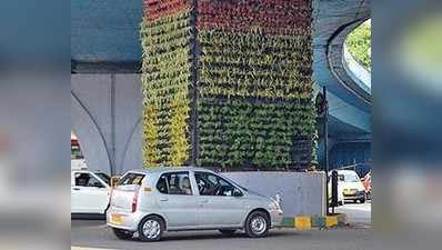 ಬೆಂಗಳೂರಿನ ಮೇಲುರಸ್ತೆಗಳಿಗೆ ವರ್ಟಿಕಲ್‌ ಗಾರ್ಡನ್‌ ಮೆರುಗು