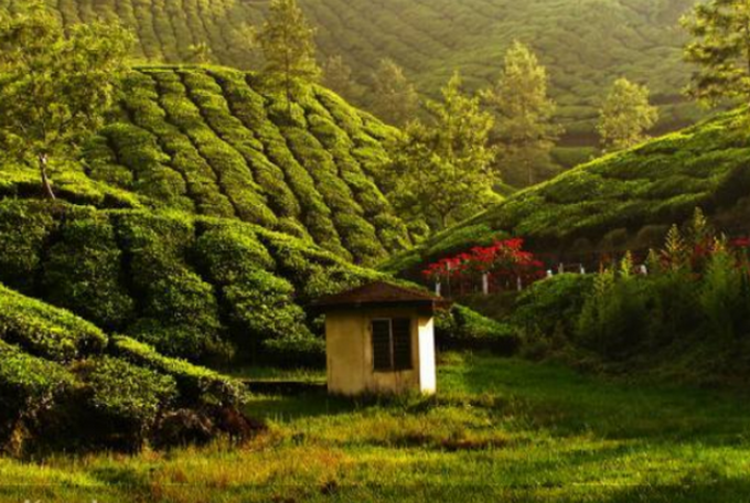 ಮುನ್ನಾರ್