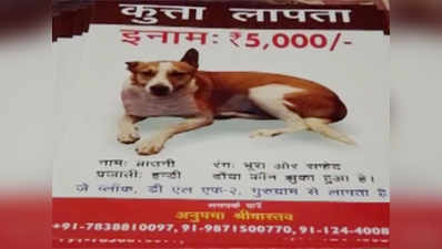 Gurugram: Pet dog allegedly killed, consumed by youth 