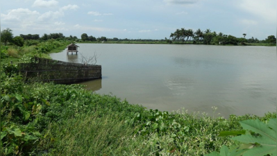 মমতার আপত্তি সত্ত্বেও দখল হচ্ছে জলাভূমি