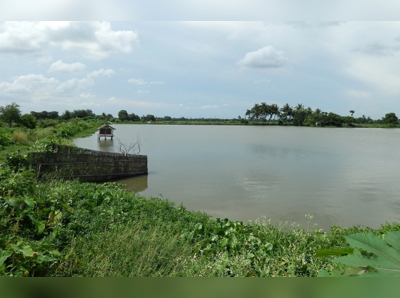 আপসের প্রশ্ন নেই, জলাভূমি ভরাট রুখতে নামছে রাজ্য