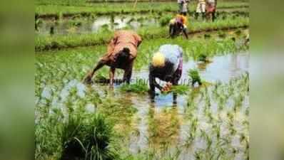 ಕೃಷಿ ಆದಾಯಕ್ಕೆ ತೆರಿಗೆ ಇಲ್ಲ: ಜೇಟ್ಲಿ