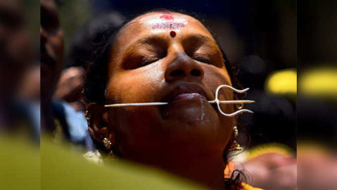 Devotees pierce skin with hooks and spikes during Muthumariamman puja festival 