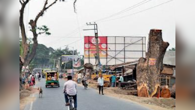 যশোহর রোডে গাছ বাঁচাতে আজ শুনানি হাইকোর্টে, পদযাত্রা পরশু