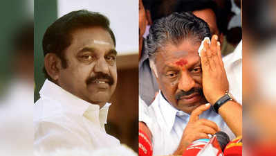 आपसी फूट से ही गिर जाएगी तमिलनाडु सरकार: पन्नीरसेल्वम गुट