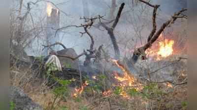 মাউন্ট আবুর প্রচণ্ড দাবানলে জঙ্গল ছেড়ে গ্রামে ঘুরছে ভালুকের দল