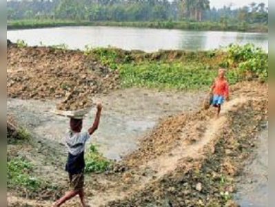 জলাভূমিতে নির্মাণ প্রস্তাবে ‘না ’ বলুন বাস্ত্তকারেরা , দাবি