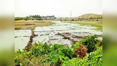 ಮೀನಿಗಾಗಿ ನೀರು ಬಿಟ್ಟರು