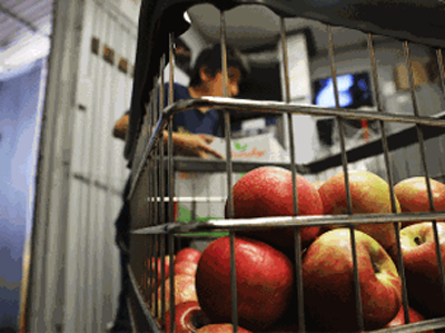 चीन के सेब और नाशपाती में कीड़े, इंडिया ने इंपोर्ट रोका