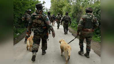 Search operation underway in south Kashmirs Shopian to nab terrorists 