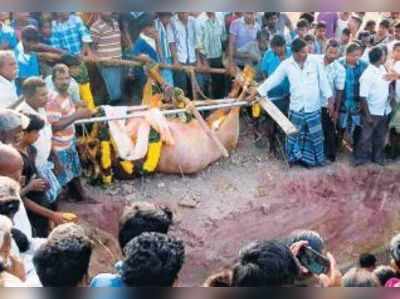 ஜோலார்பேட்டையில் உயிரிழந்த கோவில் காளைக்கு இறுதிச்சடங்கு செய்த 7 கிராம மக்கள்!