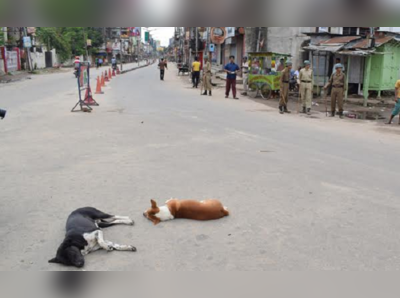 চিটফান্ড ইস্যুতে ২৪ ঘণ্টার বন্‌ধে অচল হল ত্রিপুরা