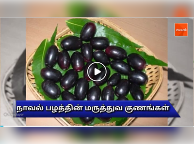 நாவல் பழத்தின் மருத்துவ குணங்கள் -வீடியோ