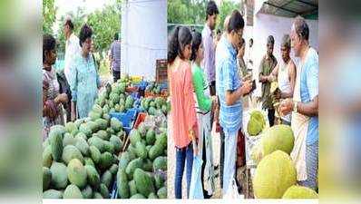 Mango and jackfruit mela begins at Kadri Park in Mangaluru 