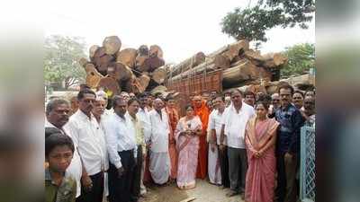 ಮರದ ದಿಮ್ಮಿಗಳಿಗೆ ವಿಶೇಷ ಪೂಜೆ