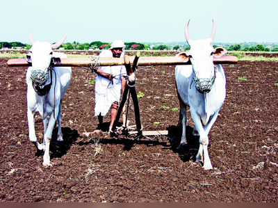 ಮುಂಗಾರಿಗೂ ಮೊದಲು ಮಾಗಿ ಉಳುಮೆ