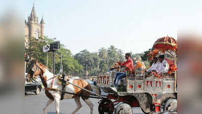 मुंबई: विक्टोरिया घोड़ा गाड़ी पर प्रतिबंध का फैसला
