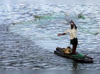 சென்னை, காஞ்சிபுரம் மற்றும் திருவள்ளூர் மாவட்டங்களில் மீன்பிடி தடைகாலம் முடிவுக்கு
வருகிறது!