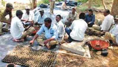 5 ಲಕ್ಷ ಸೀಡ್‌ಬಾಲ್‌ ತಯಾರಿಕೆಗೆ ಜಿಲ್ಲಾಡಳಿತ ಸಜ್ಜು