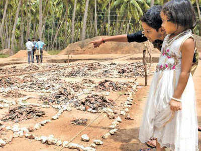 கீழடியில் களைகட்டும் மூன்றாம் கட்ட வரலாற்றுத் தேடல்