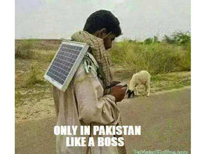 पाकिस्तानी...